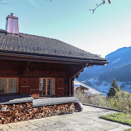 Les Jumelles Villa Gstaad Kültér fotó