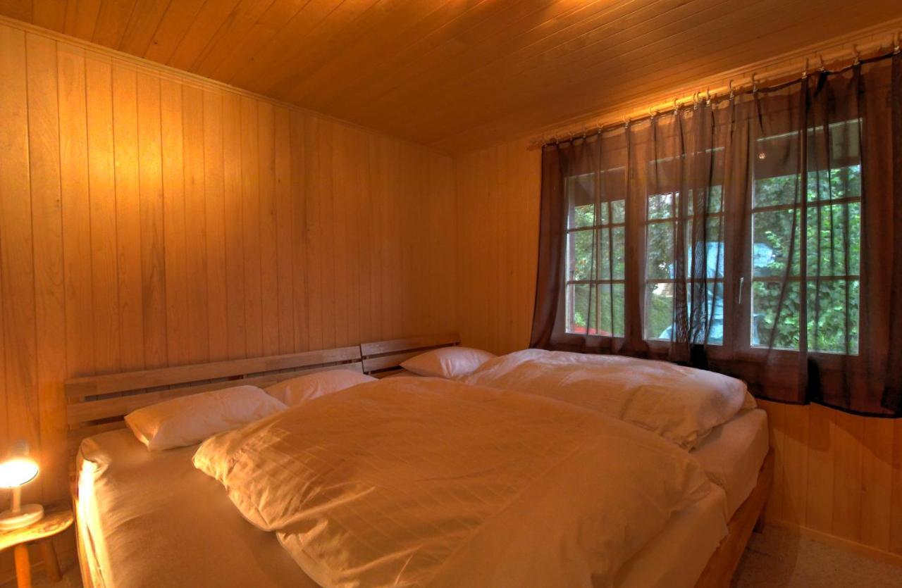 Les Jumelles Villa Gstaad Kültér fotó