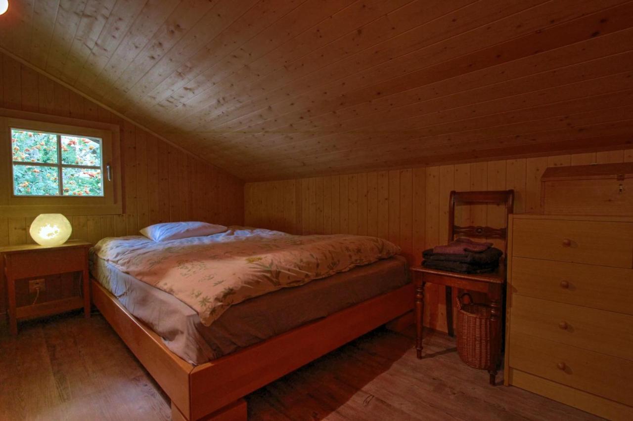 Les Jumelles Villa Gstaad Kültér fotó