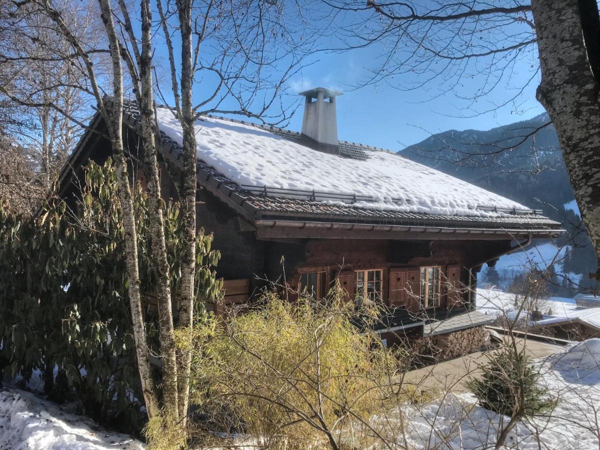 Les Jumelles Villa Gstaad Kültér fotó