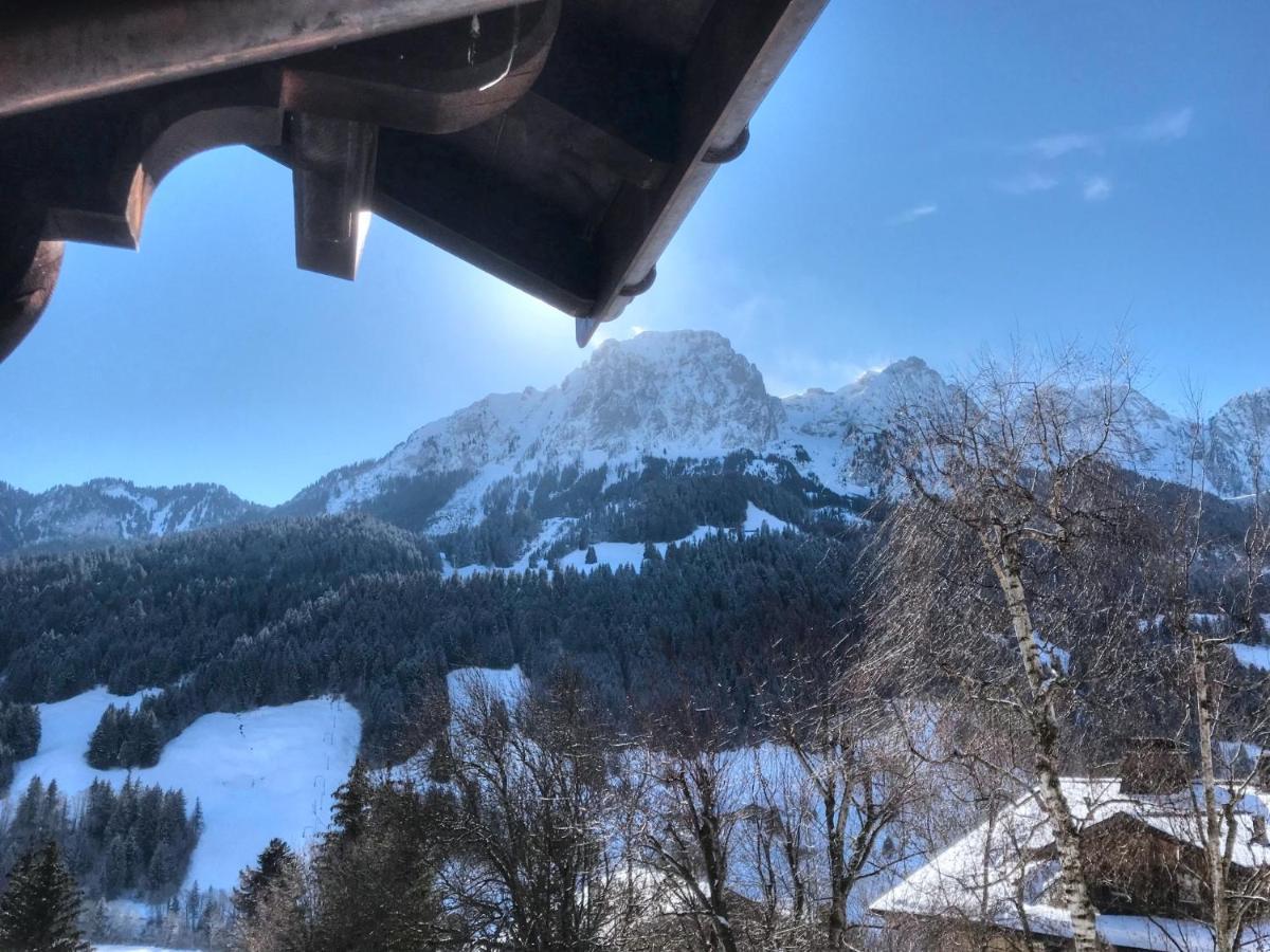 Les Jumelles Villa Gstaad Kültér fotó